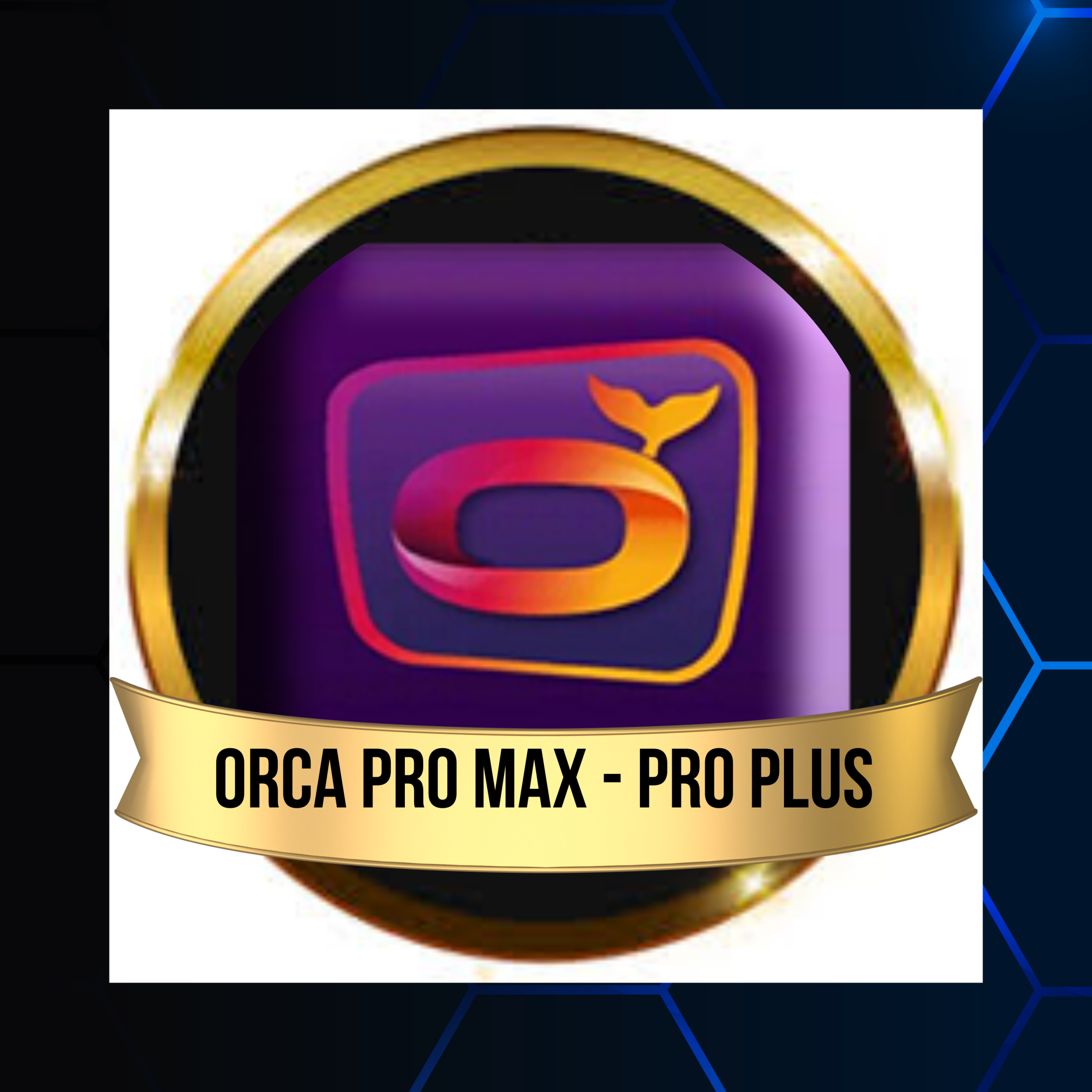 Orca Pro Max ORCA PRO MAX / PRO PLUS 06 MOIS – Image 1