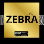 ABONNEMENT ZEBRA IPTV 06 MOIS