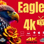 Test Eagle Iptv - teleshop.tn - 23 560 560