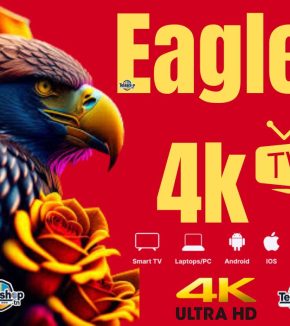 Test Eagle Iptv - teleshop.tn - 23 560 560