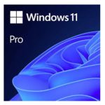 Windows 11 Professional