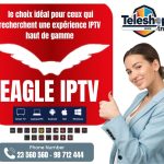 ABONNEMENT EAGLE IPTV 12 MOIS