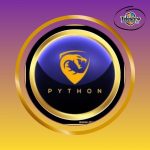 ABONNEMENT PYTHON IPTV 12 MOIS