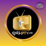 ABONNEMENT KING PRO 12 MOIS