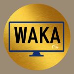CARTE ABONNEMENT WAKA TV 12 MOIS