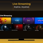 Abonnement Watch IT Premium 06 Mois